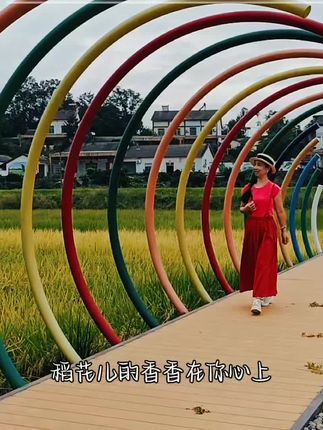 正是稻花飘香的季节,把最美拍成电影,留下最美悠悠时光#稻田风光