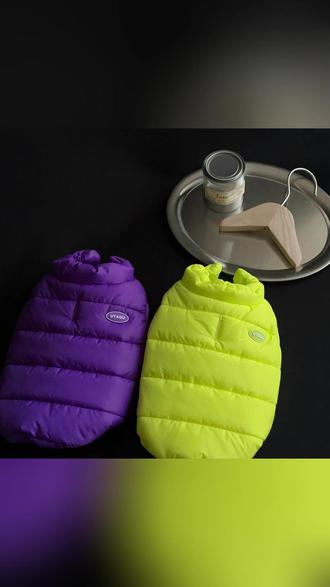 宠物棉衣 小可爱穿上太萌啦! #宠物穿搭 #萌宠日常 #狗狗过冬 #宠物保暖 #铲屎官必备