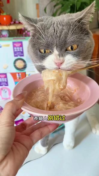不爱喝水的猫咪就给它安排麦富迪鸡丝肉肉包,猫咪吃肉喝汤的同时,补水又营养,趁着现在活动价格超划算,刷到就抓紧囤。#麦富迪 #麦富迪零食 #猫零食 #猫湿粮 #麦富迪鸡丝肉肉包
