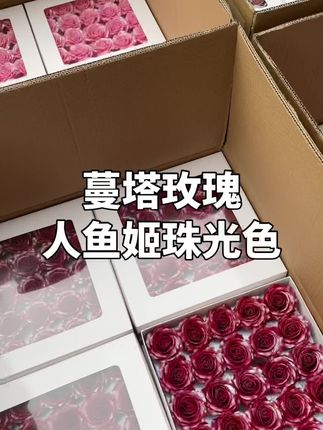 蔓塔玫瑰香薰花,人鱼姬珠光色 厄瓜多尔玫瑰花型,一盒25朵 花头直径6cm,#花束包装 #花束包装材料 #一束花的仪式感 #情人节花束 #玫瑰花束