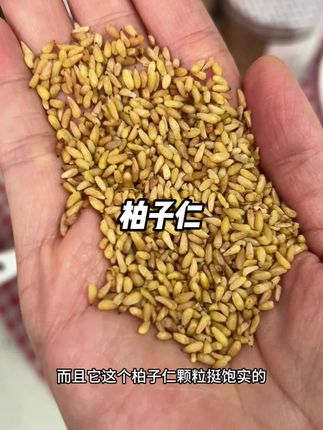 秋天吃点柏子仁挺好的。#柏子仁 #立秋藕粉方