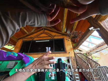 大四学生毕业之前勇闯欢乐谷之掠食者#南京欢乐谷 #大学生哪有不疯的 #过山车第一视角