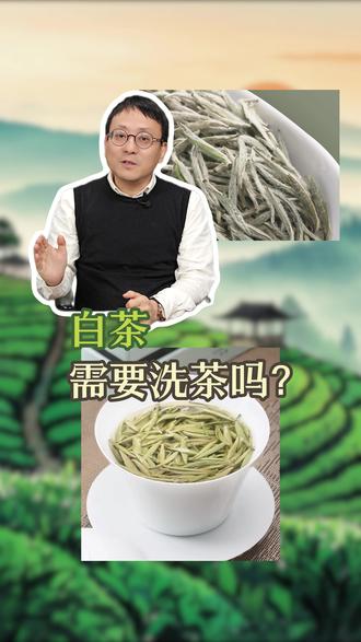 白茶需要洗茶吗? #分享茶知识 #养生知识