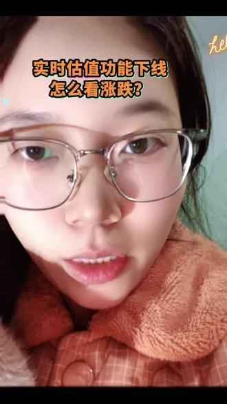 实时估值下线怎么看涨跌#实时估值怎么看 #理财小白 #实用小技巧