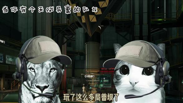 仁义的小猫 #三角洲行动 #狮子和小猫 #自制动画 #三角洲行动欢乐剧场