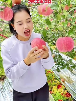 我们果臻甜家里只做真洛川苹果,拒绝卖假货,在我家保证你不上当,#洛川苹果 #洛川红富士苹果 #红富士苹果 #新鲜苹果 #新鲜应季水果