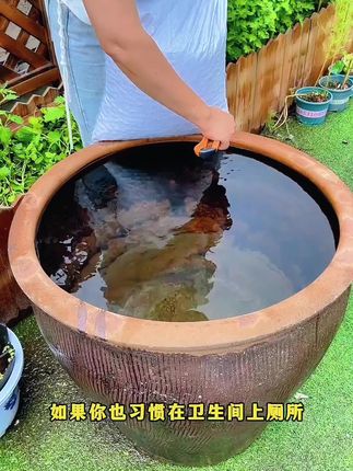 #适合在碗里茶杯里养的莲花,遇水而生,四季可养#碗莲 #水培植物 #花卉绿植