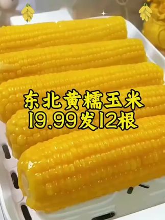 19.9到手12根,而且还都是大棒香甜软糯#东北黄糯玉米又甜又大又糯#软糯香甜 #糯玉米的营养价值#大人小孩都爱吃 #东北黄糯玉米