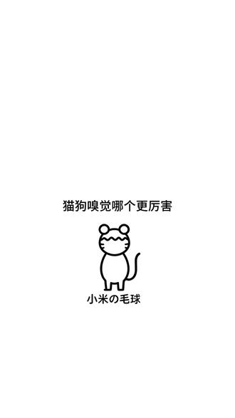 猫狗嗅觉大比拼:谁的鼻子更“灵”? #养猫人 #新手养猫 #猫咪知识 #养猫冷知识 #养猫经验分享