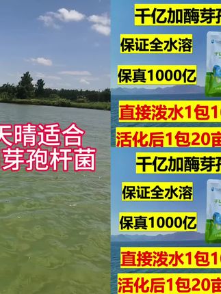 千亿加酶芽孢 全水溶 保真1000亿 /克 1包10-20亩#好物推荐#好物分享#爆款热卖中#厂家直发#超便宜超划算