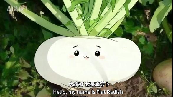 一颗扁萝卜的“自白书”