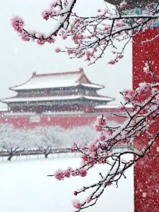 恰逢今年是故宫博物院百年大庆,而这一版马年盖章版日历又是下一个百年的开端纪念,这次的盖章版是限量发售, 一定要快点抢!的审美断层琨压LV香奈儿。不管是自留还是送朋友送领导送老师, 这也是非常合适,收到的人一定会特别喜欢,它就是一个让人记得一整年的祝福礼物。#故宫博物院 #故宫日历 #日历 #礼物推荐 #马年