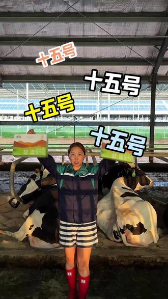 宁夏澳趣沙漠绿洲纯牛奶 澳趣纯牛奶开播啦,宁夏贺兰山下沙漠绿洲牧场,源自澳洲精选奶牛,高品质高钙纯牛奶,开学季推荐爆款牛奶#纯牛奶推荐 #贺兰山 #沙漠牛奶