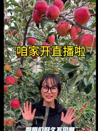 粉丝朋友们今年第一波苹果正式开卖,一直等我家苹果的今天锁定直播间哦~今晚8点开播