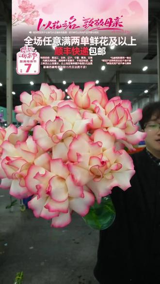 法式温柔艾莎玫瑰,居家插花超治愈 #云舍花卉 #玫瑰 #好看的花一定要分享给你 #网购鲜花 #艾莎