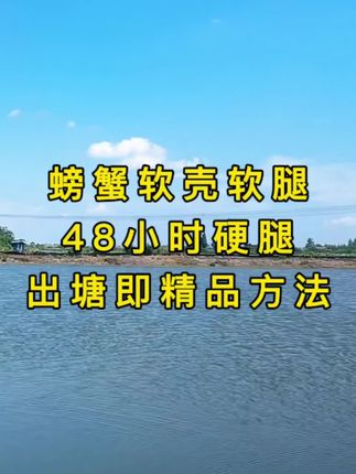 螃蟹软腿软壳,快速硬腿#河蟹养殖#螃蟹养殖#大闸蟹养殖