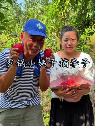 不怪我小姨子馋,这大李子又脆又甜,谁不喜欢#农村生活#新农人计划2025