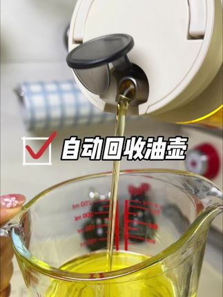 高颜值鹰嘴造型大油壶,不滴油、不挂油,放在家里既好看又实用!#种草好物 #厨房好物 #油壶不挂油 #厨房好帮手