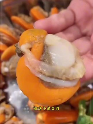 #扇贝 #扇贝肉 #海鲜美食 #超便宜超划算 #美食推荐
