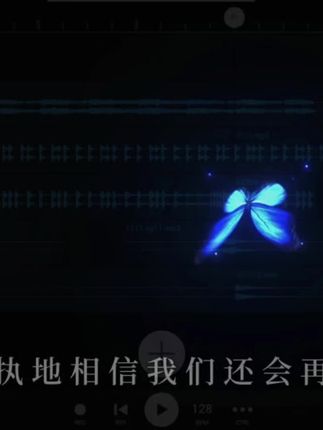 我经常对你说些我也听不懂的话#打火机 #Penny #音频投稿计划