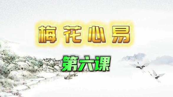 孙绍普梅花心易初级教程#梅花心易#梅花易数