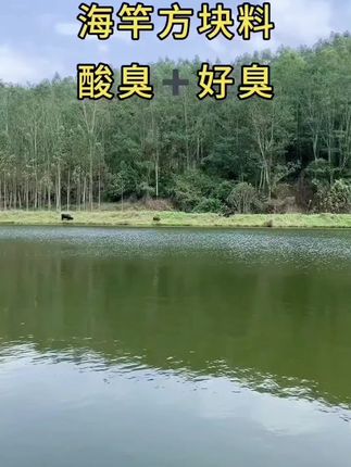 #翠花方块#鲢鳙方块#大头鱼#花鲢#海竿