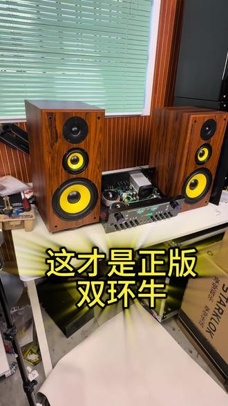 这才是正版双环牛Av999 正版双环牛Av999bt,铝合金隧道式散热,双面板工艺先进,不是老式纯差价的单一工艺能比的#功放#功放机