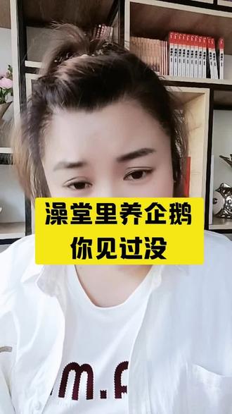 企鹅也要搓澡啦#真实生活分享计划#创新 #洗浴中心#搓澡床加热垫