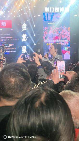 荆门园博园唐艺大舞台
人山人海