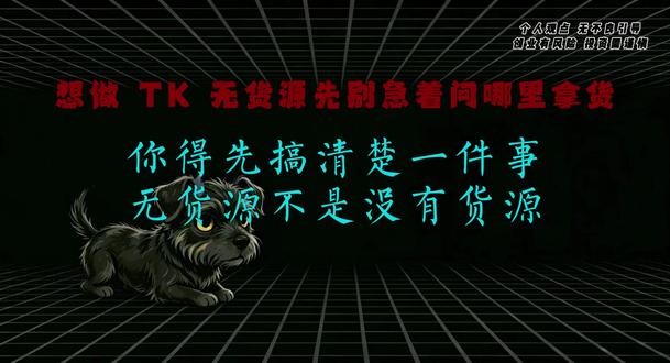 TK跨境没流量并不是你的运营手法而是你不知道从哪里抓住重点 #tiktok跨境电商 #跨境电商 #tiktokshop #tiktok小店 #新手做跨境电商