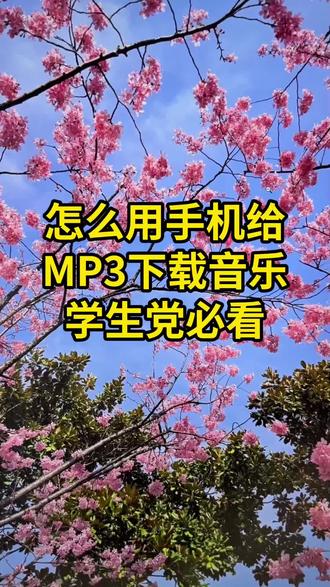 MP3音乐下载,手机下载MP3音乐的方法来了,学生党必备,手机怎么下载歌曲到mp3?随身听mp3怎么用手机下歌,音乐下载?mp3下载歌曲方法,如何将歌曲复制到mp3,如何使用手机OTG功能下载MP3歌曲,准备otg转换头和数据线,连接mp3和手机,开启OTG功能,手机怎么把短视频里面好听的歌曲转成mp3格式?手机怎么下载mp3格式音乐到U盘、内存卡?只要有你喜欢歌曲的视频,就可以轻松转成mp3格式的音频,可以放车载u盘或mp3播放器上播放,手机就能操作,非常简单!
#怎么下载mp3#视频怎么提取成音频mp3
#视频转成mp3 #mp3随身听 #视频转成mp3