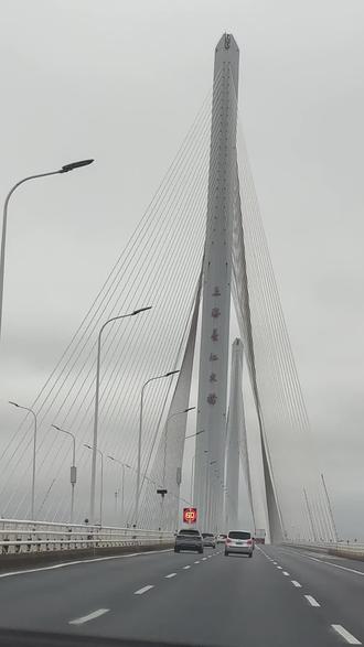 早上3点从颍上上高速到上海市区9小时,全程不堵车