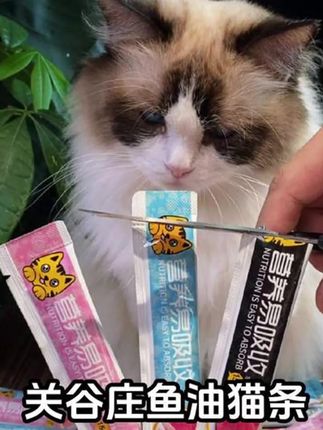 关谷庄猫咪零食猫条鸡肉牛肉湿粮包鱼油营养补成幼猫补水#吃货猫 #宠物吃货 #宠物食品 #养猫新手 #宠物用品