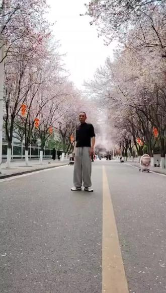 这里是贵州遵义,习水县樱花街大道