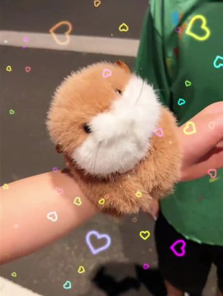 凭咱俩的关系,送我这会抱手手的小水獭不过分吧~#毛绒公仔 #玩偶