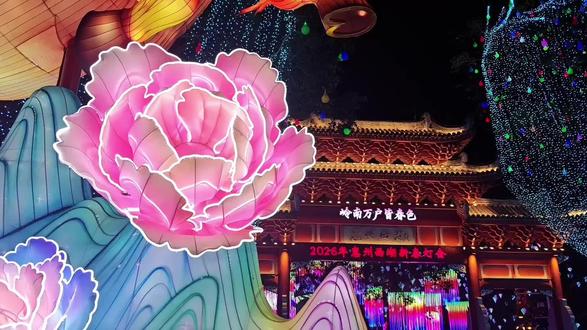 正月十五元宵节,惠州西湖闹花灯!