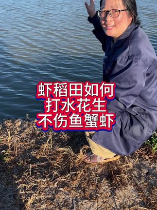 虾稻田如何打水花生,不伤我们的鱼虾蟹。#水花生 #水花生专杀套餐 #水产养殖 #虾稻田 #水花生怎么除