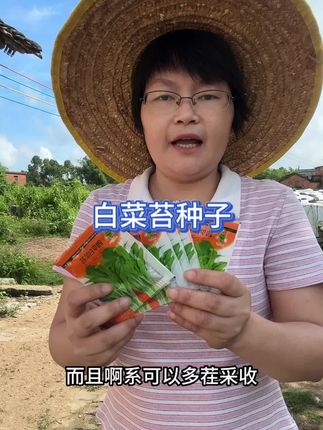家人们,今年就不要再种菠菜油麦菜了,快点来试试这个白菜苔,生长速度快,现在种可以吃到过年#白菜苔 #蔬菜种子 #自己种的纯天然的绿色蔬菜 #阳台小院均可种植 #超便宜超划算