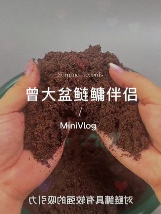 钓大个体鲢鳙,推荐用“曾大盆快意江湖鲢鳙伴侣”这款添加剂!它酵香味十分浓郁,专门针对大个体鲢鳙设计。一包鲢鳙伴侣能搭配约7包鲢鳙饵料,每次使用只需一小把就行~#爆护饵料 #浮钓鲢鳙 #钓鲢鳙窝料 #钓鲢鳙 #鲢鳙伴侣添加剂