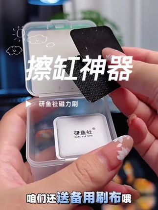 这个磁力刷真绝了,手不沾水就把鱼缸擦的干干净净的,绿藻褐藻也能轻松擦掉#磁茲力刷 #擦缸神器#鱼缸刷