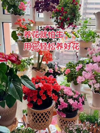 每个养花人必备 养花就怕生虫 用它轻松养好花 防虫颗粒 #防虫小妙招 #防虫颗粒小白药 #养花小知识 #植物生虫怎么办 #我的花花草草🌸🌸