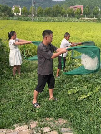 #三农养殖 秋天抓鱼就是这么简单