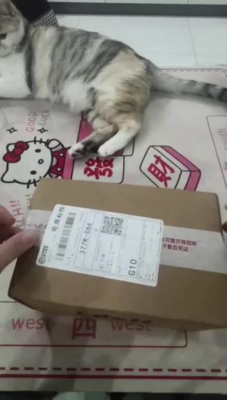 圈外好友帮忙拆箱 #橹穆
#王橹杰棉花娃娃