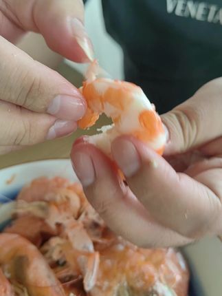天津正宗汉沽汪子虾 现在有大个头的了#汪子虾 #汉沽美食 #汉沽汪子虾