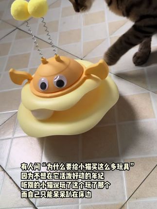 白天玩累了 晚上就要好好睡觉咯#猫咪 #猫咪的迷惑行为 #猫玩具