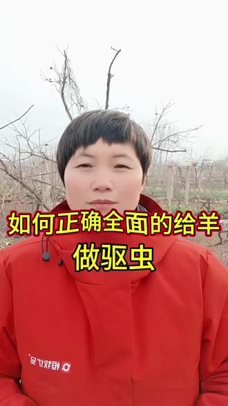 如何正确全面的给羊做驱虫
#三农#农村养羊#抖音二创激励计划 #技术分享#怀孕母羊