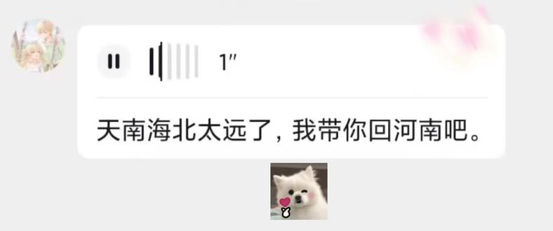 天南海北太远了, 我带你回河南吧。#配音#声控#青年音#河南