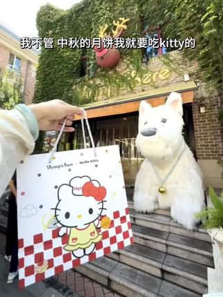 #hellokitty #月饼 #月饼可以有多好看 #中秋节 #中秋节礼物
