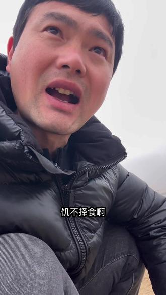 狗狗饿一天,它什么都吃的!不要喂太多了