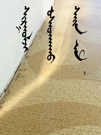灭蚂蚁药,这个药真的不错